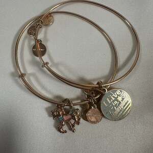 Disney Parks x Alex and Ani Rose Gold 'I Live In Fantasyland' Carousel Horse Set